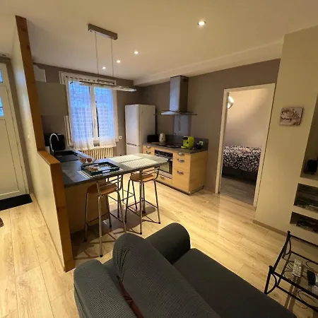 Lejlighed Appartement 45M, Parking Prive, Centre Ville Gare A Proximite Aurillac